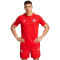 adidas FC Bayern München Fanshirt Herren 013A - red XXL