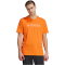 adidas TERREX Classic Logo T-Shirt Herren AELF - seimor L