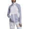 adidas TERREX Tech Flooce Hooded Hiking Fleecejacke Damen AESU - sildaw/silvio S