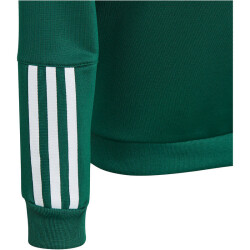 adidas Tiro 23 Competition Hoodie Kinder AD8T - drkgrn 116