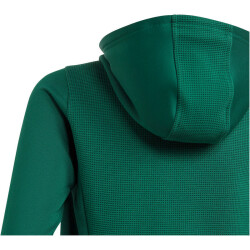 adidas Tiro 23 Competition Hoodie Kinder AD8T - drkgrn 116