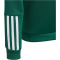 adidas Tiro 23 Competition Hoodie Kinder AD8T - drkgrn 128