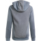 adidas Tiro 23 Competition Hoodie Kinder ADFY - tmonix 128