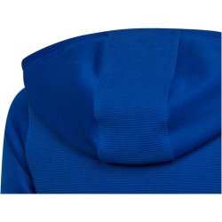 adidas Tiro 23 Competition Hoodie Kinder AD8R - royblu 128