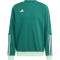 adidas Tiro 23 Competition Sweatshirt Herren AD8T - drkgrn M