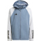 adidas Tiro 23 Competition Allwetterjacke Kinder ADFY - tmonix/tmlggr 116