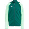 adidas Tiro 23 Competition Trainingsjacke Kinder AD8T - drkgrn/beamgr 128