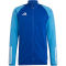 adidas Tiro 23 Competition Trainingsjacke Herren AD8R - royblu/pulblu S