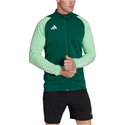 adidas Tiro 23 Competition Trainingsjacke Herren AD8T - drkgrn/beamgr S