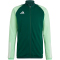 adidas Tiro 23 Competition Trainingsjacke Herren AD8T - drkgrn/beamgr S