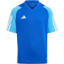 adidas Tiro 23 Competition Trikot Kinder AD8R -...