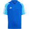 adidas Tiro 23 Competition Trikot Kinder AD8R - royblu/pulblu 116