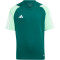 adidas Tiro 23 Competition Trikot Kinder AD8T - drkgrn/beamgr 116