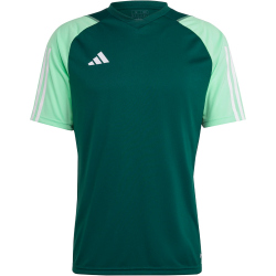 adidas Tiro 23 Competition Trikot Herren AD8T - drkgrn/beamgr S