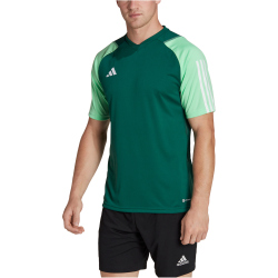 adidas Tiro 23 Competition Trikot Herren AD8T - drkgrn/beamgr S