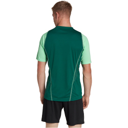 adidas Tiro 23 Competition Trikot Herren AD8T - drkgrn/beamgr S