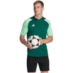 adidas Tiro 23 Competition Trikot Herren AD8T - drkgrn/beamgr S