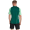 adidas Tiro 23 Competition Trikot Herren AD8T - drkgrn/beamgr S