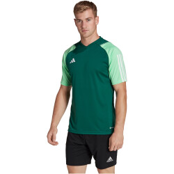 adidas Tiro 23 Competition Trikot Herren AD8T - drkgrn/beamgr XL