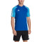 adidas Tiro 23 Competition Trikot Herren AD8R - royblu/pulblu S