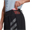 adidas TERREX Agravic Trailrunning-Laufshorts Herren 095A - black S/5"