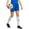 adidas Tiro 23 Competition Match Shorts Damen AD8R - royblu/white XS