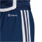 adidas Tiro 23 Competition Match Shorts Damen AEQ1 - tenabl/white XS