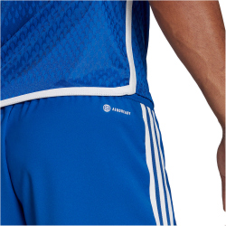 adidas Tiro 23 Competition Match Trainingsshorts Herren AD8R - royblu/white XS