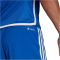 adidas Tiro 23 Competition Match Trainingsshorts Herren AD8R - royblu/white XS