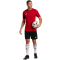 adidas Tabela 23 Fu&szlig;ball Trikot Herren HT6552 - team power red 2/white S