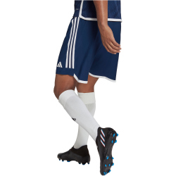 adidas Tiro 23 Competition Match Trainingsshorts Herren AEQ1 - tenabl/white XS