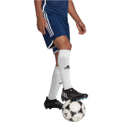 adidas Tiro 23 Competition Match Trainingsshorts Herren AEQ1 - tenabl/white XS