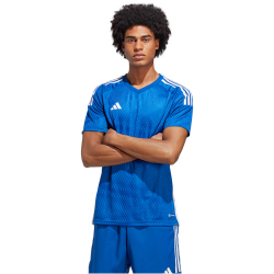 adidas Tiro 23 Competition Match Trikot Herren AD8R - royblu/white XS
