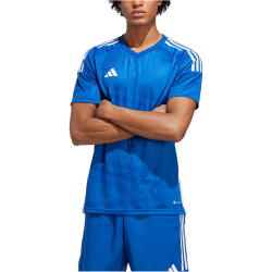 adidas Tiro 23 Competition Match Trikot Herren AD8R - royblu/white XS