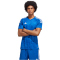 adidas Tiro 23 Competition Match Trikot Herren AD8R - royblu/white XS