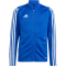 adidas Tiro 23 League Trainingsjacke Kinder AD8R - royblu 116