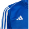 adidas Tiro 23 League Trainingsjacke Kinder AD8R - royblu 116
