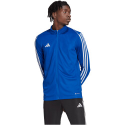 adidas Tiro 23 League Trainingsjacke Herren AD8R - royblu XS