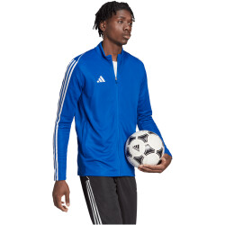adidas Tiro 23 League Trainingsjacke Herren AD8R - royblu XS