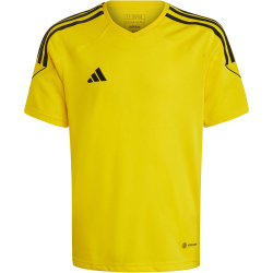 adidas Tiro 23 League Trikot Kinder ADF7 - tmyell/black 128