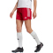 adidas Tiro 23 League lange Trainingsshorts Damen AEPU - tepore/white S