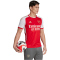 adidas FC Arsenal London Heimtrikot 2023/24 Herren AETG - betsca/white S