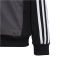 adidas Essentials Tiberio Trainingsanzug Kinder 095A - black/grefiv/greone/w 176