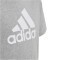 adidas Essentials Big Logo Cotton T-Shirt Kinder 83F7 - mgreyh/white 128