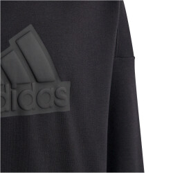 adidas Future Icons Logo Hoodie Kinder 095A - black/black 164