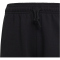 adidas Future Icons Logo Jogginghose Kinder 095A - black/black 152