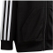adidas Essentials 3-Streifen Shiny Trainingsanzug Kinder 095A - black/white 116