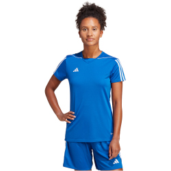 adidas Tiro 23 League Trikot Damen AD8R - royblu/white XS