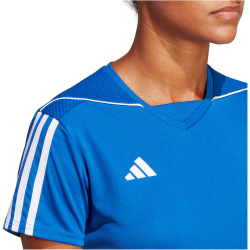 adidas Tiro 23 League Trikot Damen AD8R - royblu/white XS