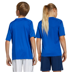 adidas Campeon 23 Trikot Kinder AD8R - royblu 128